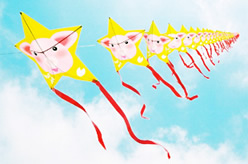 Star Kites - 60 kites